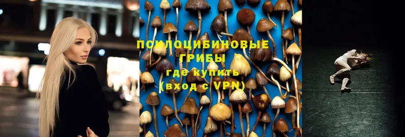 Псилоцибиновые грибы Magic Shrooms  МЕГА ссылки  Канаш 